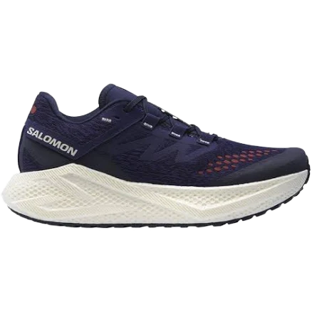 Salomon Aero Glide 3 Grvl